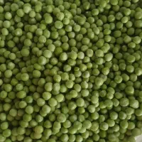 نخود فرنگی تازه پاک شده در بسته بندی