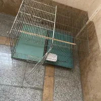 قفس بزرگ مناسب برای همه ی پرنده ها|لوازم جانبی حیوانات|تهران, افسریه جنوبی|دیوار