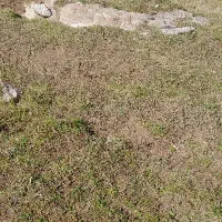 زمین-مسکونی-شهرک-طالقانی