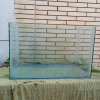 آکواریوم بزرگ فقط 400تومن|ماهیگیری|نیشابور, میدان حافظ|دیوار