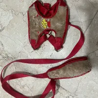 قلاده کمربندی سگ سایز ۲