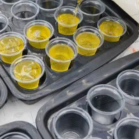 لیوان یکبار مصرف آبخوری ۵۰۰ عددی خویدک|ظروف نگهدارنده، پلاستیکی، یک‌بارمصرف|تهران, تهرانسر شرقی|دیوار