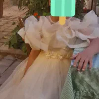 لباس مجلسی|لباس|شیراز, شیخ روزبهان|دیوار