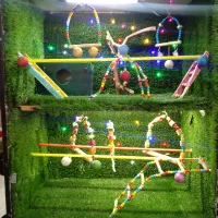 سلام قفس شیک خوشکل دوطبقه|لوازم جانبی حیوانات|مرند, |دیوار