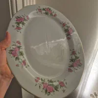 ۴عدد دیس ۱۶عدد بشقاب گل سرخ
