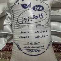 فروش برنج کامفیروزی اصل
