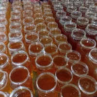 عسل طبیعی وژل رویال