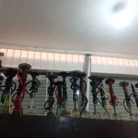 نیرو کار  برای کافه