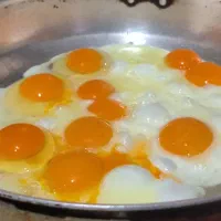تخمه مرغ محلی روستا|خوردنی و آشامیدنی|مریوان, |دیوار