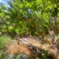 سلام-عرض-ادب-خانه-ویلایی-دوطبقه-360