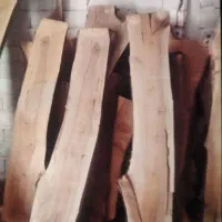 اسلب چنار