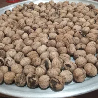 گردو درجه یک عالی