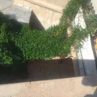 فروش منزل|فروش خانه و ویلا|شیراز, شیشه‌گری|دیوار