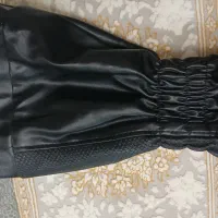 پالتو جنس چرب