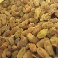 کشمش سبز طبیعی سایه خشک بدون هسته|خوردنی و آشامیدنی|یزد, |دیوار