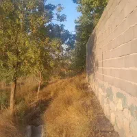 باغ ۱۱۰۰ متری با ویو رودخونه فنس کشی شده|فروش زمین و ملک کلنگی|خلجستان, |دیوار