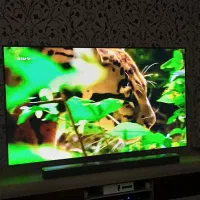 تلوزیون سامسونگ|تلویزیون و پروژکتور|پرند, فاز ۵|دیوار