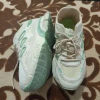 کفش شیک|کیف، کفش، کمربند|شیراز, پودنک|دیوار