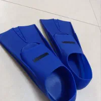 فین شنا (missippi)