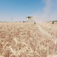 فروش ۱۰۰ متری