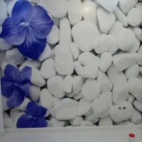 نصاب کاغذدیواری نقاشی و بلکا درتمام نقاط