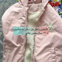 لباس|لباس|شیراز, گلشن|دیوار