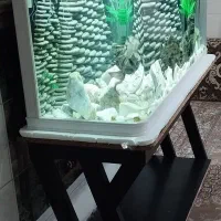 آکواریوم شرکتی شیشه خم بزرگ|ماهی|مشهد, بهمن|دیوار