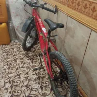 دوچرخه۲۰|دوچرخه، اسکیت، اسکوتر|باوی, |دیوار