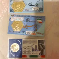 زمین 205 متری شمالی گلدیس