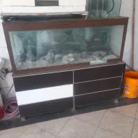 اکفاریوم