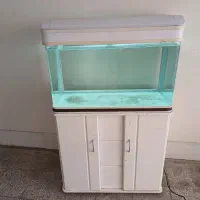 باسلام آکواریوم کره ایی میباشد