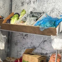 استند میوه|فروشگاه و مغازه|کرج, شاهینویلا|دیوار