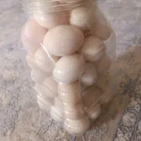 تخم مرغ محلی
