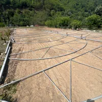 اخذ مجوز ، ساخت و اجرای کامل گلخانه در گیلان|خدمات باغبانی و درختکاری|رشت, گلزاران|دیوار