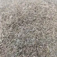 زیر سبز بوجار