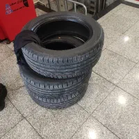 لاستیک بارز