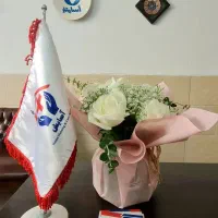 موسسه مجاز خدمات پرستاری در منزل (تزریقات وصل سرم)