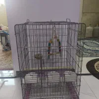 قفس پرنده