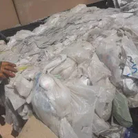 استخدام،کار،جذب، خانم