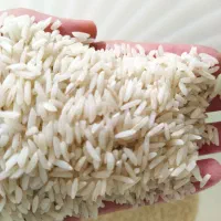 برنج طارم هاشمی|خوردنی و آشامیدنی|تهران, جنت‌آباد شمالی|دیوار