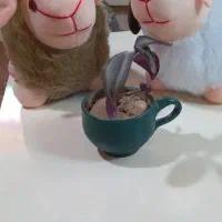 هر دو با هم ۲۵۰
