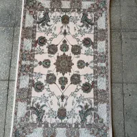 فروش تعداد زیادی پادری ب قیمت عمده در بندرعباس|پادری|بندرعباس, |دیوار