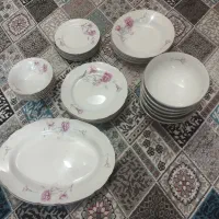 سرویس غذاخوری گل میخک