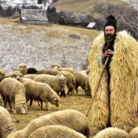 چوپان وکارگر دامداری برای اغمیون
