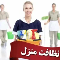 خانم جویای کارمنزل