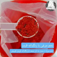 غذای تخم مرغی آماده و سبزیجات قناری گرینچیک راهب|لوازم جانبی حیوانات|مشهد, فدک|دیوار