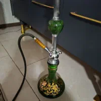 معاوضه قلیان MYA اصلی با توله نر ژرمن