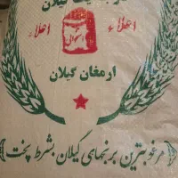 برنج هاشمی شمال درجه ۱