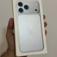 17 pro max
