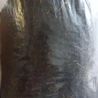 چای بهاره ارگانیک باغ خودم خرید عمده با تخفیف ویژه